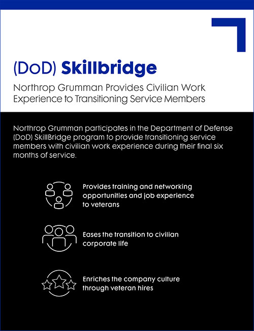Skillbridge: A Bridge Between Service and the Civilian World - Infographic