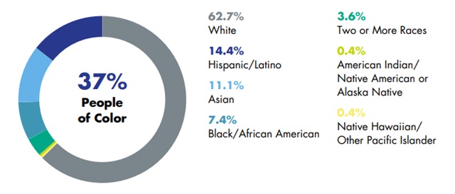Pie chart showing the percentage of People of Color at Northrop Grumman With a Detailed Key
