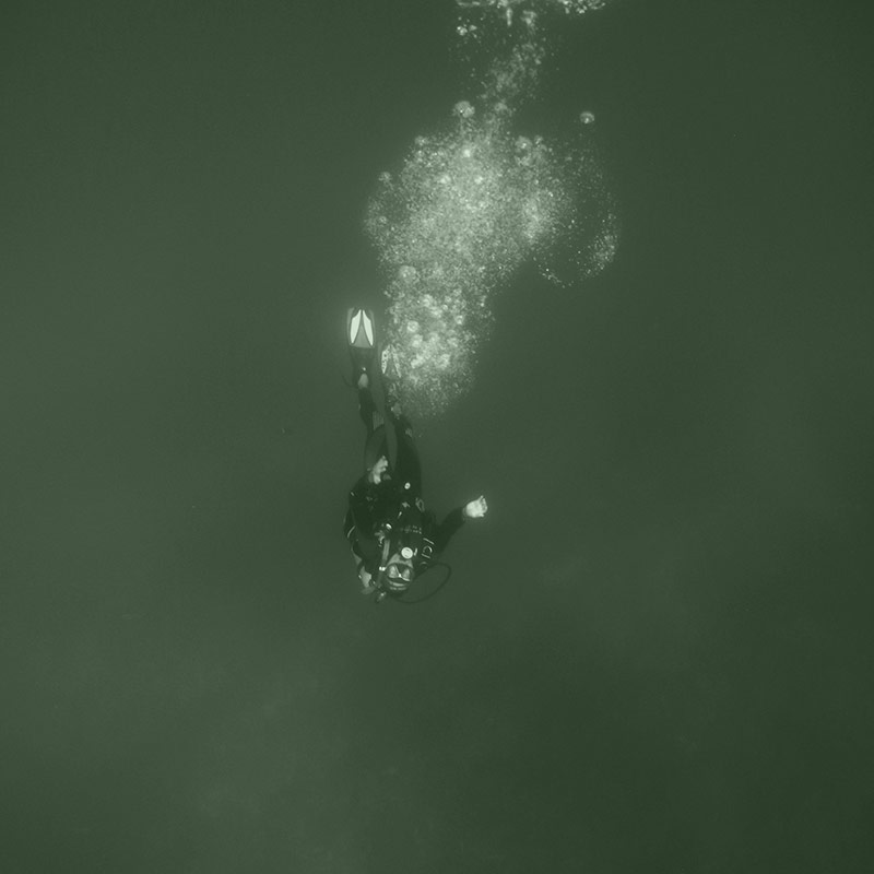diver in murky waters